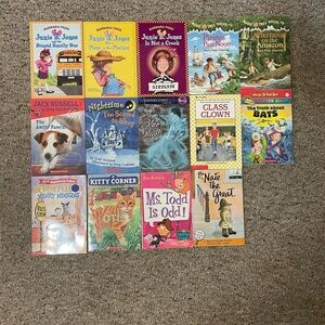 14 chapter books lot including popular ones, Junie B Jones and magic three house